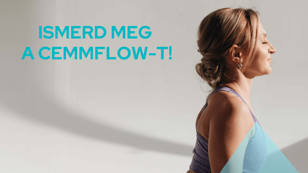 Fedezd fel a CEMMFLOW applikációt online