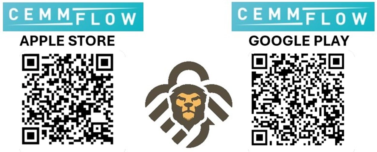 CemmFlow - Apple Store - Google Play QR letöltési kód - new